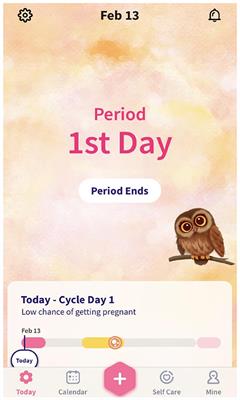 Reimagining the cycle: interaction in self-tracking period apps and menstrual empowerment